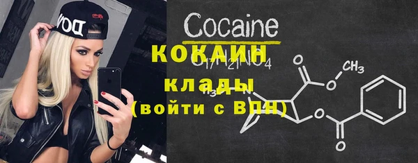 гашик Майский
