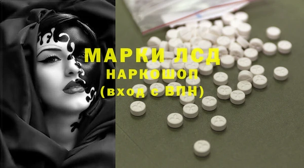 тгк Магас