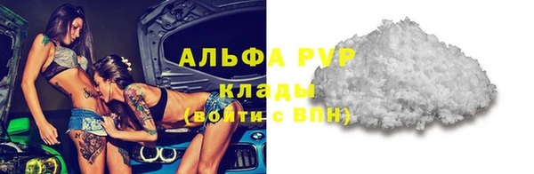 тгк Магас