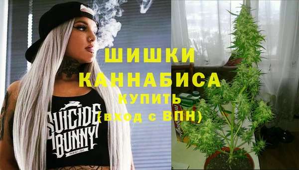 тгк Магас
