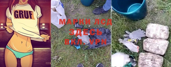 гашик Майский