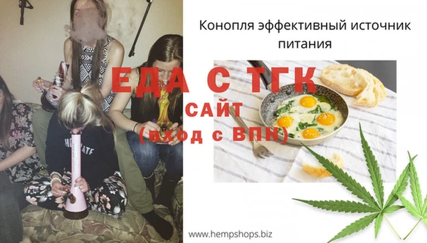 гашик Майский