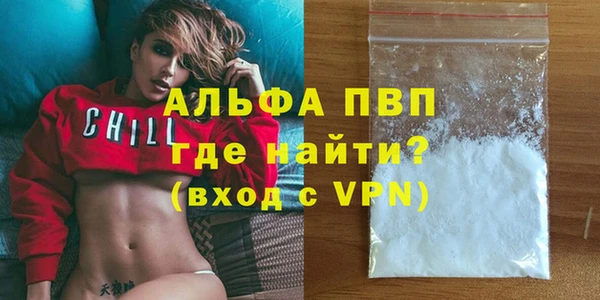 гашик Майский