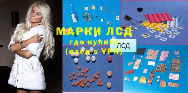 тгк Магас