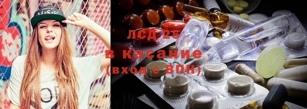гашик Майский