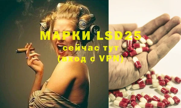 гашик Майский