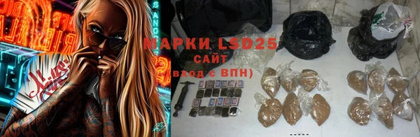 гашик Майский