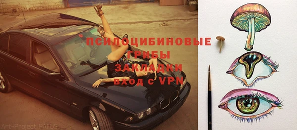 тгк Магас