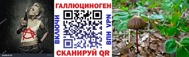 Псилоцибиновые грибы Cubensis  Иваново 