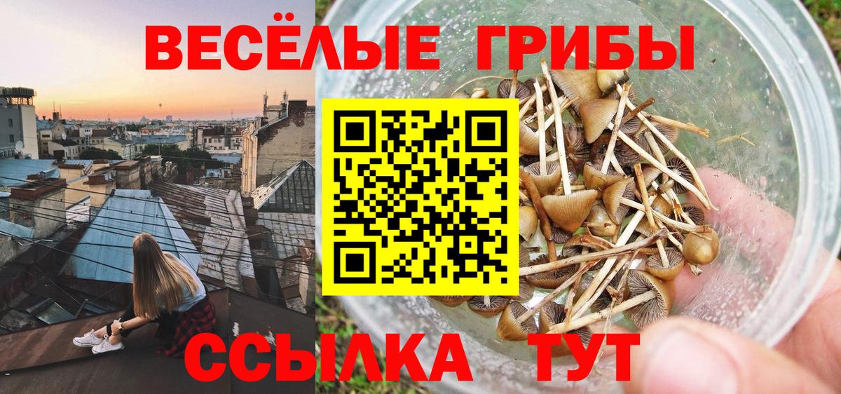Галлюциногенные грибы мицелий Иваново