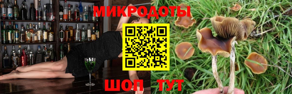 даркнет сайт  Псилоцибиновые грибы GOLDEN TEACHER  Вход с VPN  Иваново 